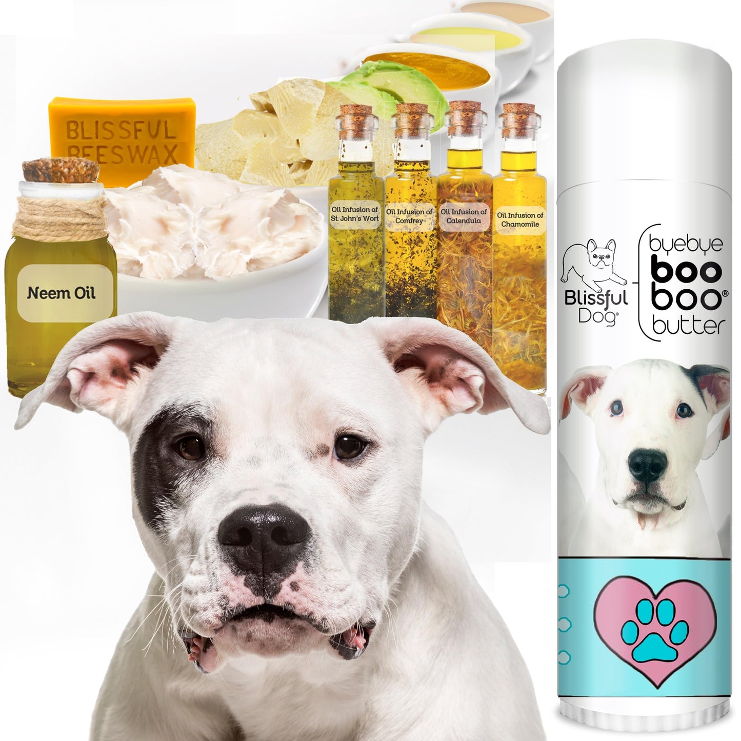 The Blissful Dog Dogo Argentino Boo Boo Butter, 0.50-Ounce Beauty and Personal Care The Blissful Dog