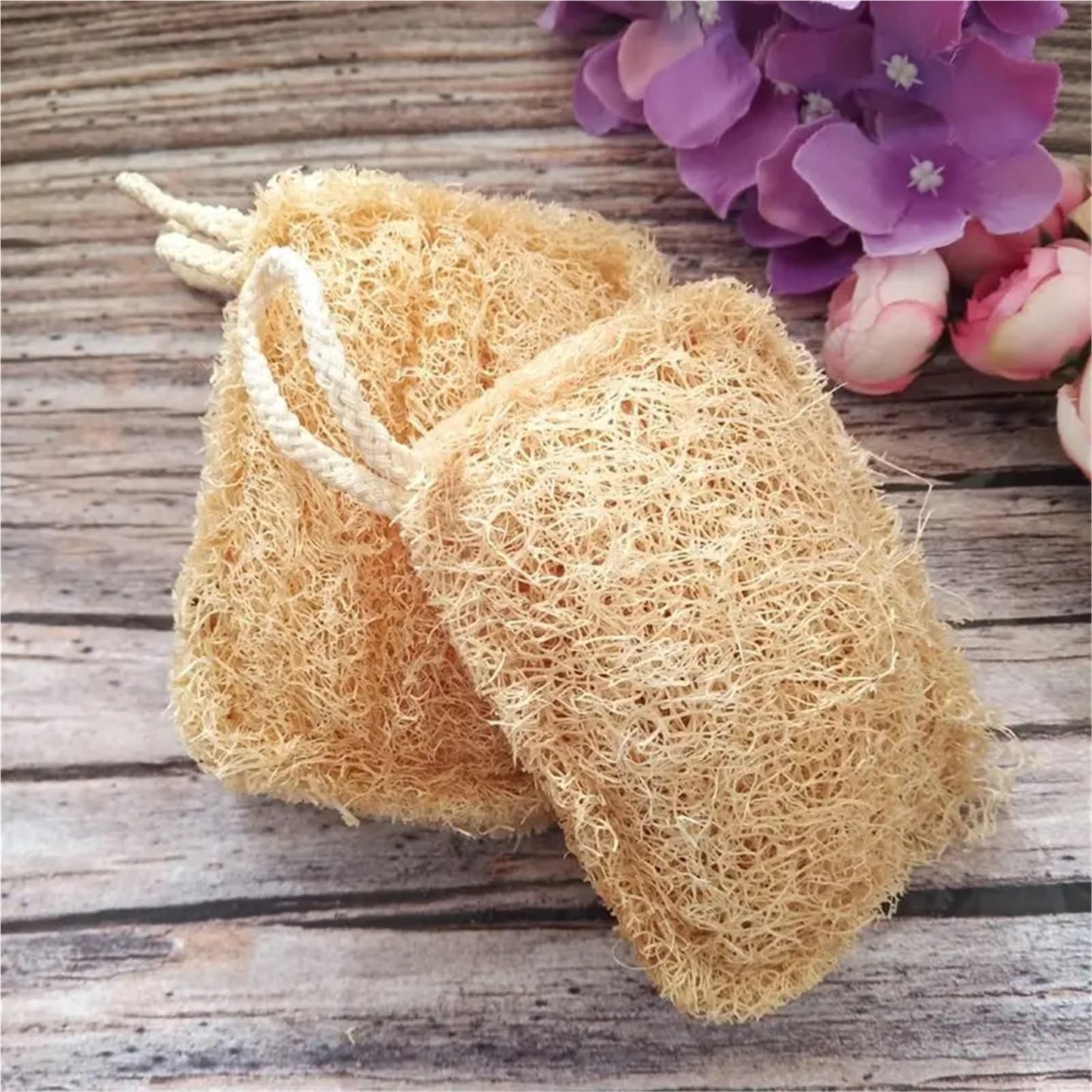Kitchen Loofah Sponge Greener Clean Tools Non-Scratch Brush Natural Dish Scrubbers Luffa Loofa Lufa Sponge Tools(3 pcs) Beauty and Personal Care HIVJEEDYH