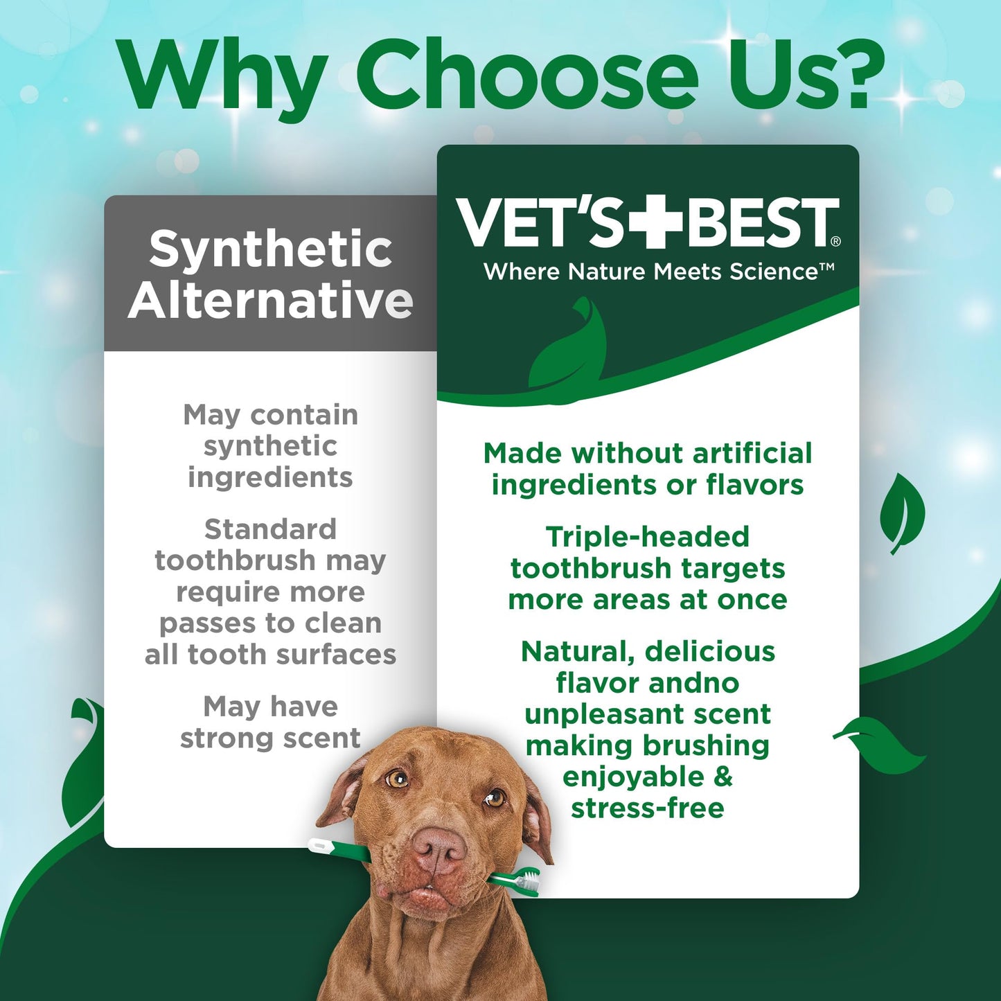 Vet's Best Dog Toothbrush & Toothpaste Kit – Plaque Remover, Whitens Teeth, Freshens Breath, Vet Formula with Finger Brush