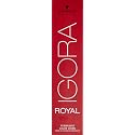 Schwarzkopf - ROYAL IGORA 60 ml 7-00 by Unknown