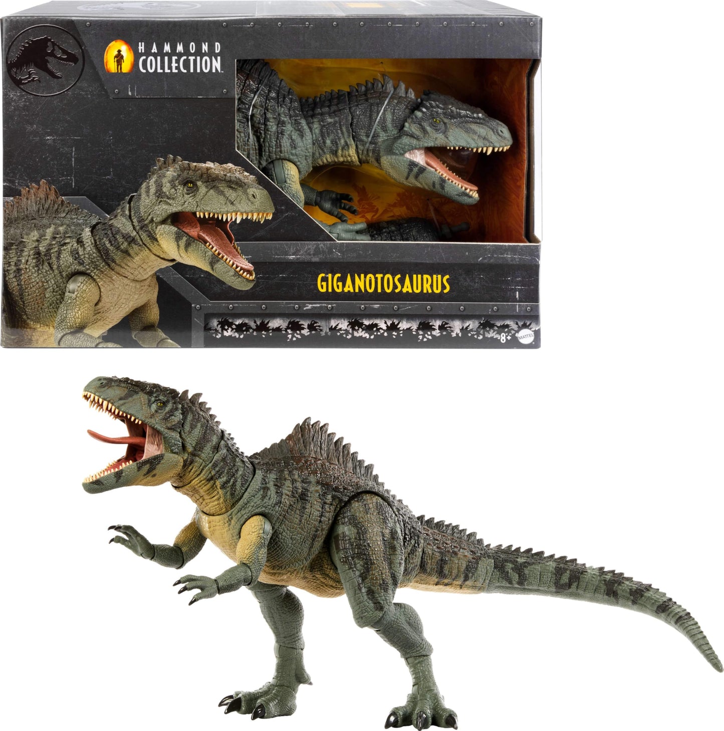 Mattel Jurassic World Dominion Hammond Collection Giganotosaurus Dinosaur Figure, 21 Articulations, Glass Eyes, Wired Tail & Posable Tongue