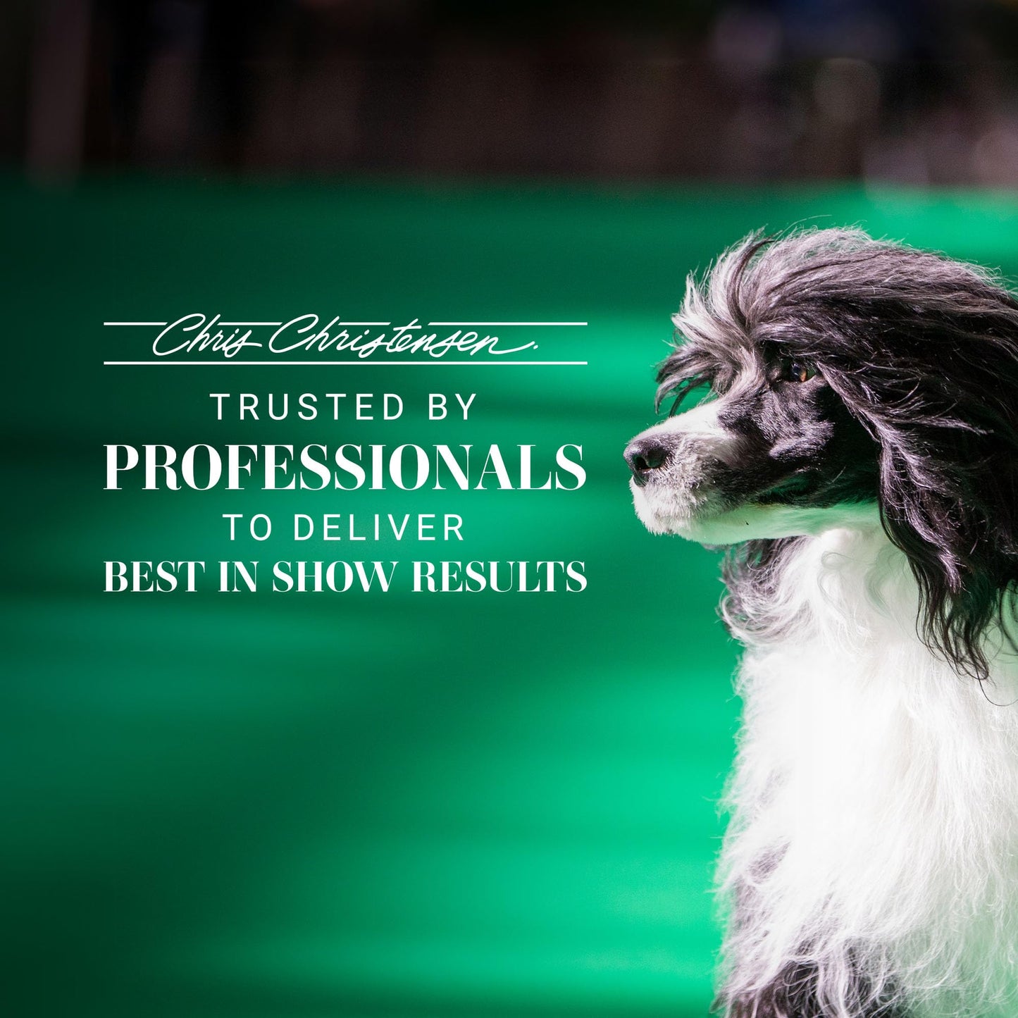 Chris Christensen Thick N Thicker Texturizing Bodifier Dog Whipped Creme Mousse, Groom Like a Professional, No Flakiness or Buildup, Washes Out