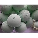 Spa Pure Butterfly Bath Bombs: 14 Butterfly Garden Bath Bomb Fizzies with Shea Butter, Ultra Moisturizing ...Great for Dry Skin (Butterfly Garden)