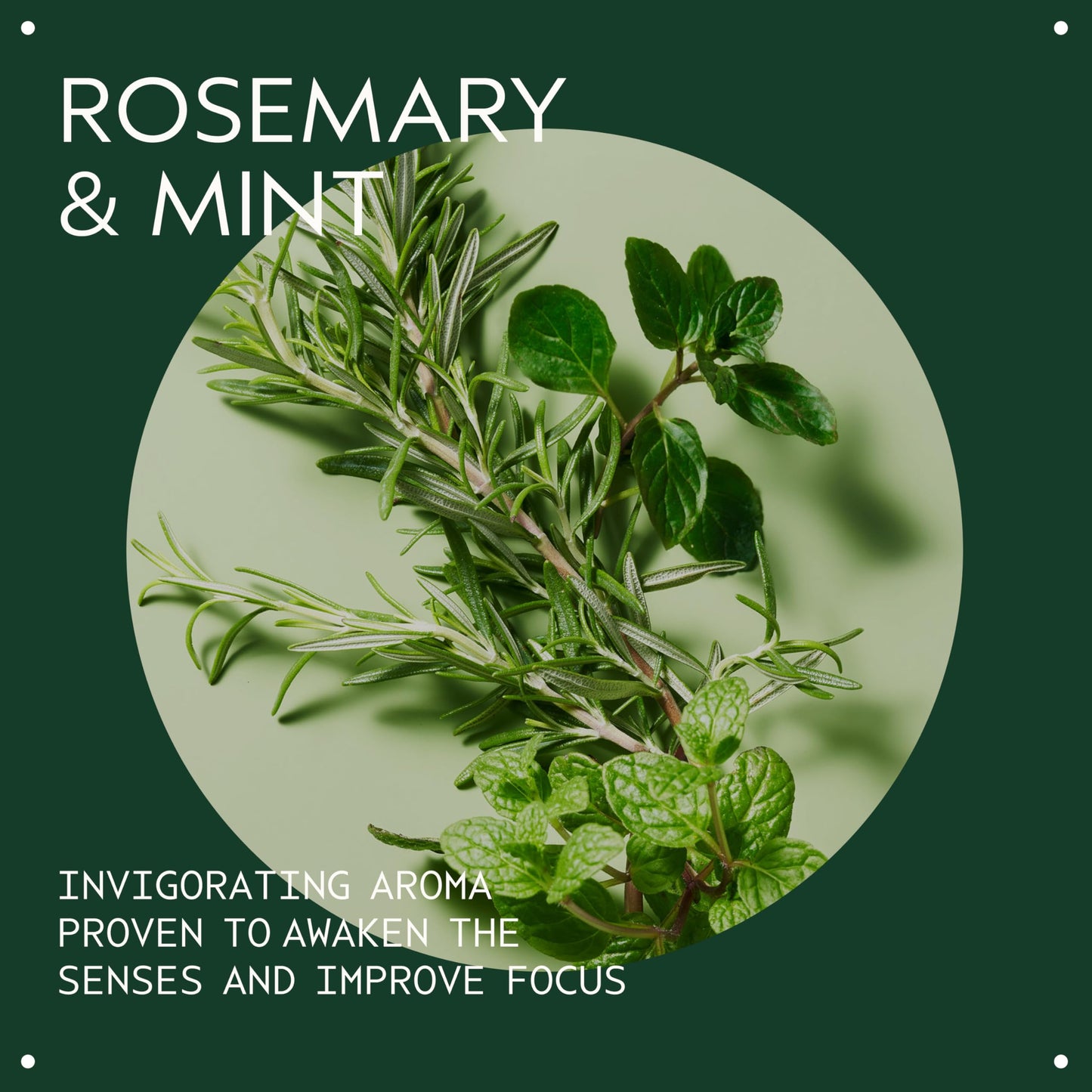 Aveda Rosemary Mint Purifying Shampoo | Clarifying Shampoo | Gently Removes Buildup, Adds Shine | For Normal to Oily Hair, Fine to Medium Hair | Beauty and Personal Care Aveda