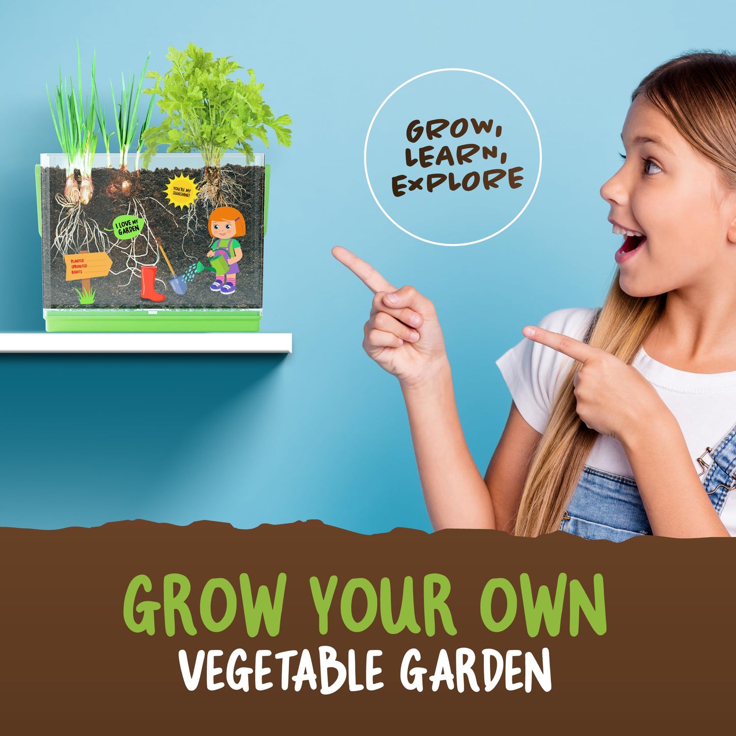 Dan&Darci Root Viewer Kit for Kids – Grow Your Own Plant STEM Science & Craft Set, Fun Gardening Gift for Boys & Girls Ages 4–8