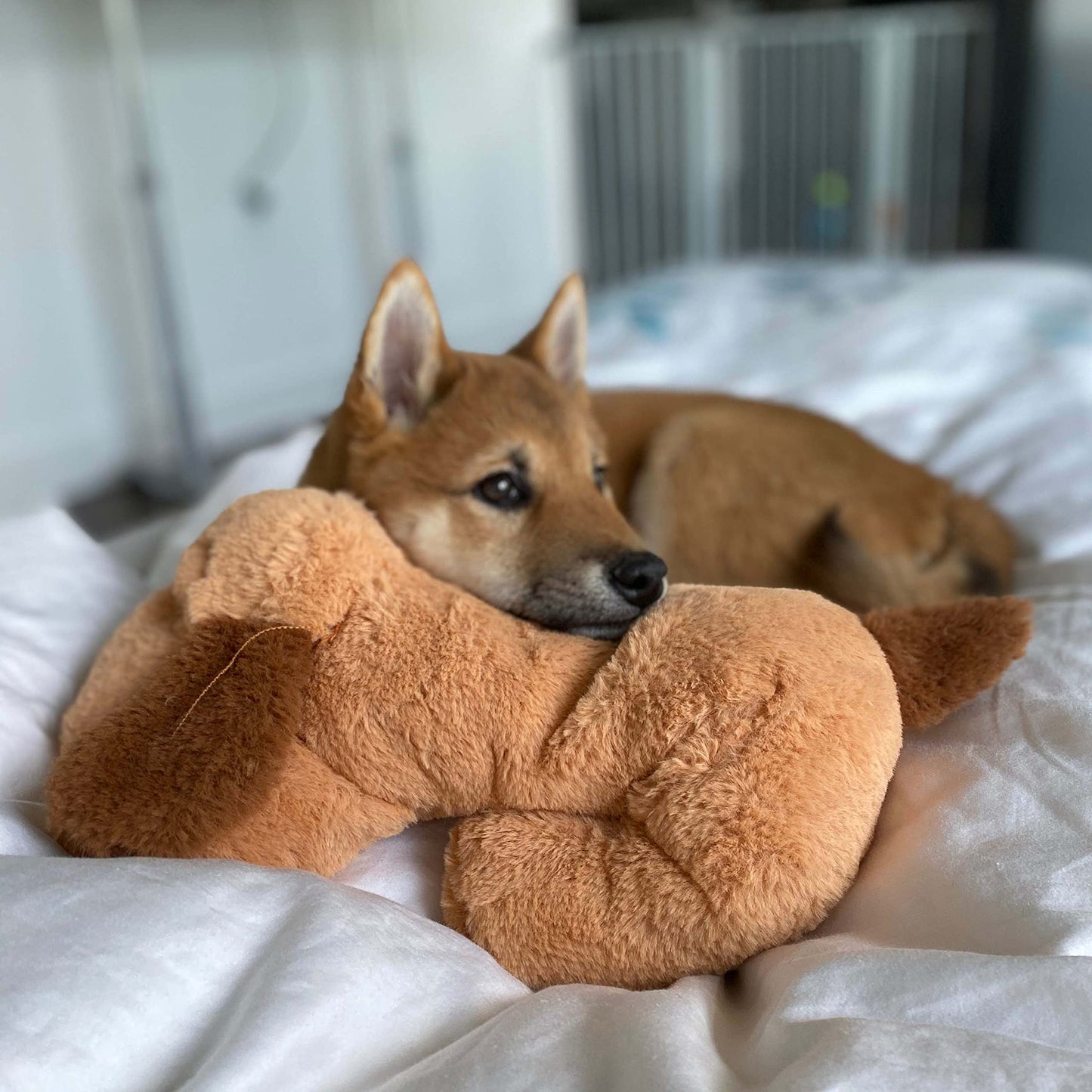 Original Snuggle Puppy Toys - Heartbeat Puppy for Dogs - Pet Anxiety Relief and Calming Aid - Comfort Dog Toys for Behavioral Training