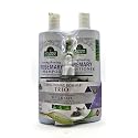 Spanish Garden Rosemary Hair Strengthening Shampoo & Conditioner Set with Nourishing Hair Oil for Deep Scalp Care - Suitable for All Hair Types Men