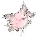 Touch of Nature Feather Turkey Flat Chandelle Clip Light Pink 1pc