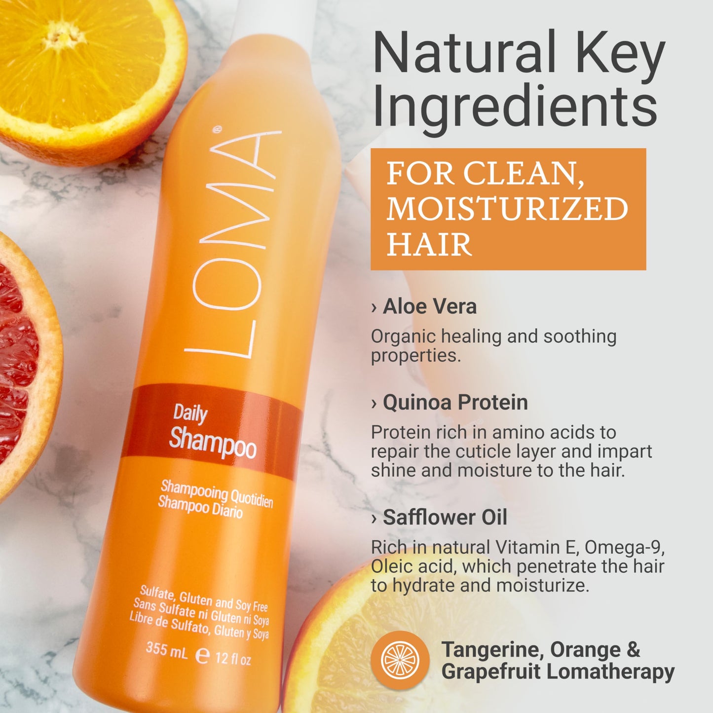Loma Daily Shampoo 12 Ounce (Clear Formula)