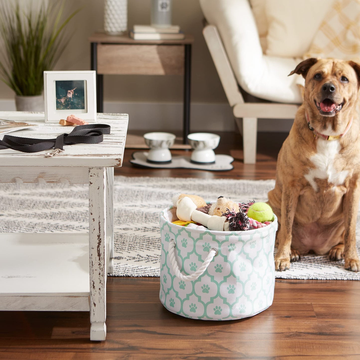 Bone Dry Pet Storage Collection Lattice Paw Print, Small Round, White/Aqua