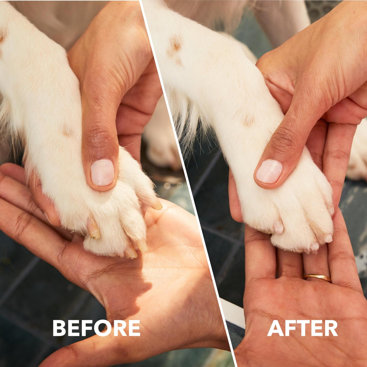 Dremel PawControl 7760-PET Cordless Dog Nail Grinder & Trimmer – Rechargeable Pet Grooming Tool Kit for Dogs, Cats & Small Animals (Amazon Exclusive)