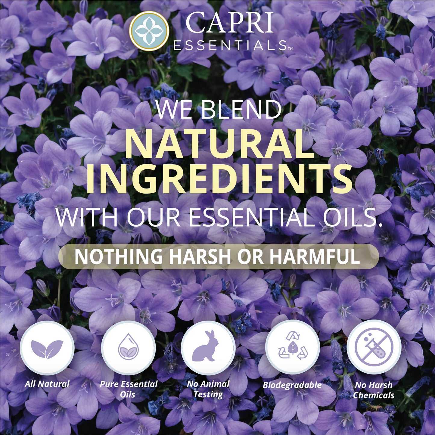 CAPRI ESSENTIALS Hand Soap Liquid, Natural Household Cleaning Supplies, Gentle Plant Based Aromatic Hand Wash with a Blend of Essential Oils, Removes