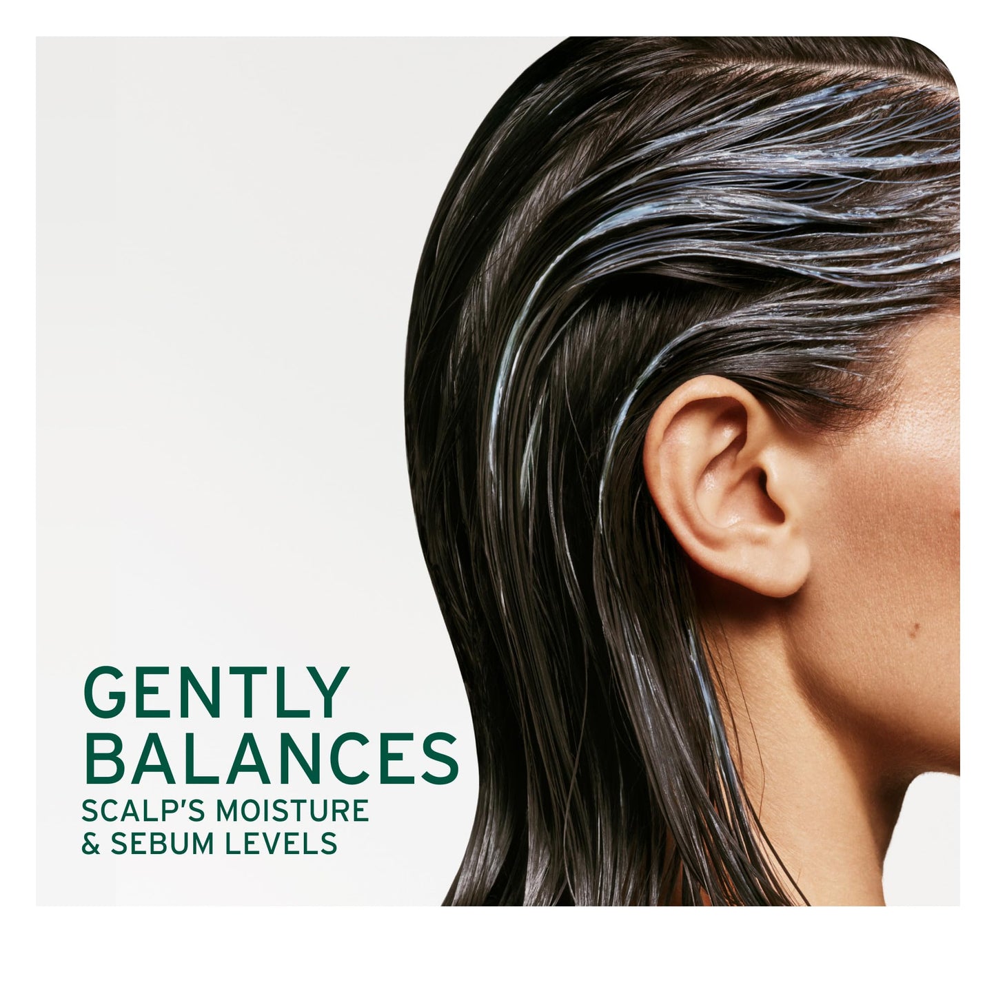 Biolage Cool Mint Shampoo - Balancing Shampoo for Oily Scalp, Gently Cleanses, Refreshes & Helps Balance, Mint & Glycerin, Vegan & Paraben-Free, 13.5