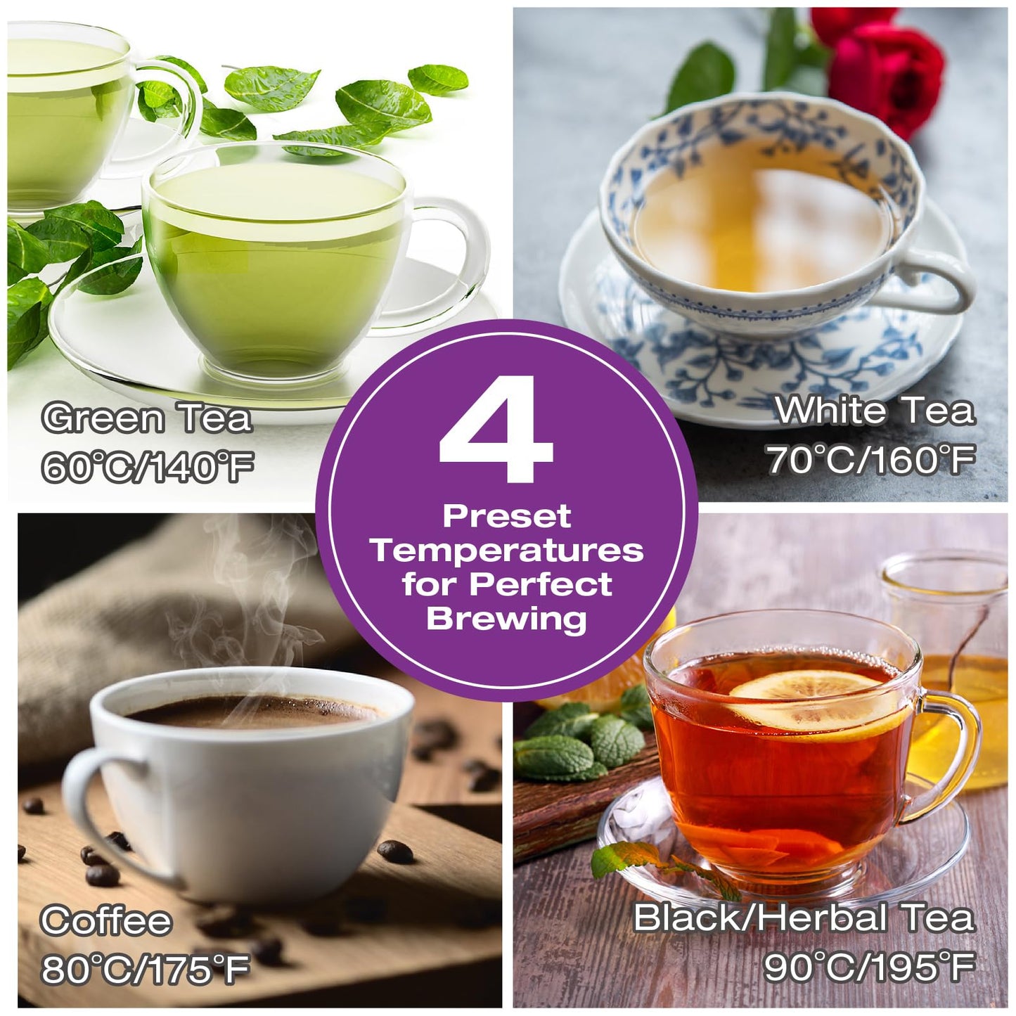 Salton Temperature Control Kettle 1.7L With Tea Steeper