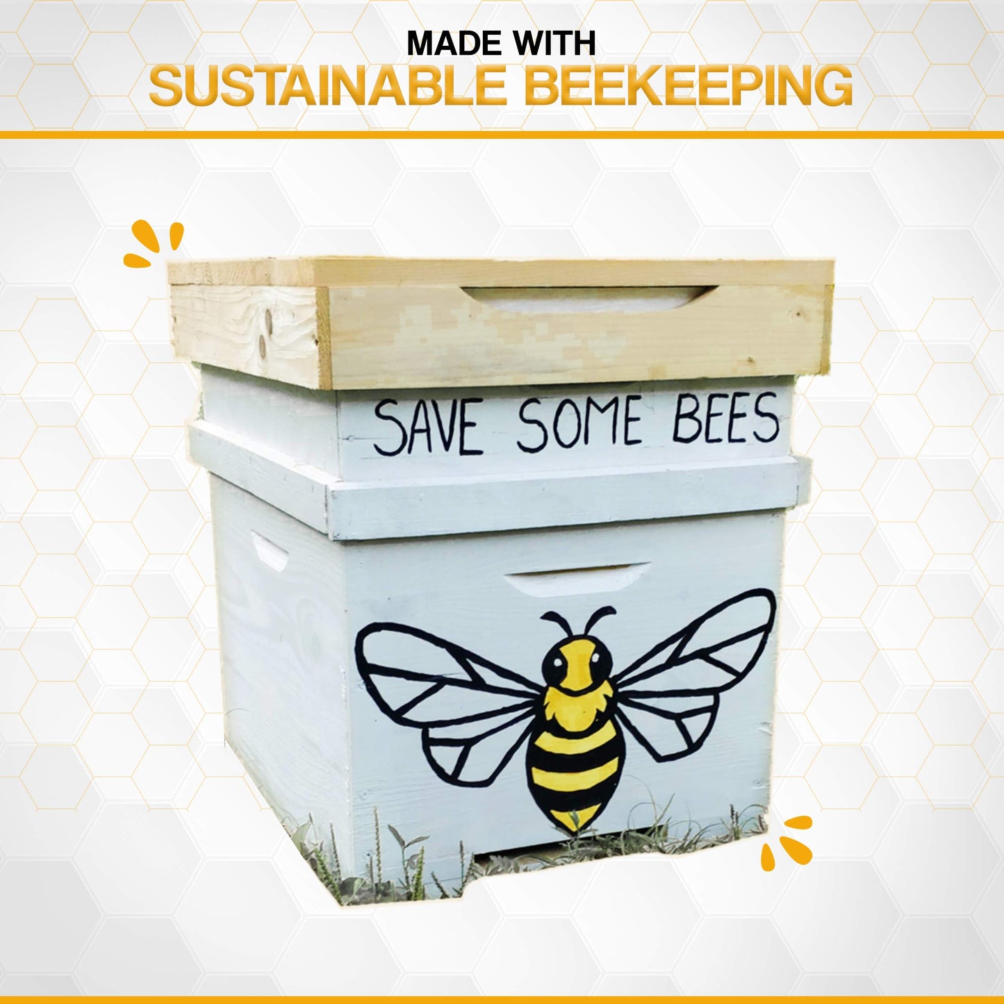 2 Beetinols Anti aging serums (15ml bottle & 5ml Roller Ball applicator) - Day/Night Eye & Face Serum : Bee Venom, Retinol, Peptides, Hyaluronic