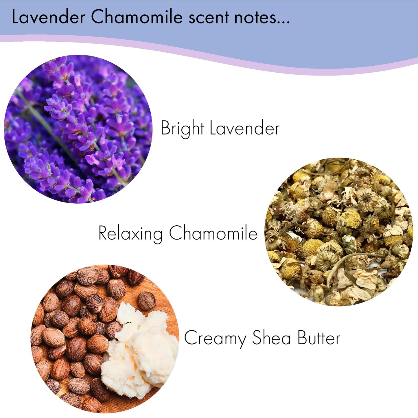 Floral Soap Sampler-Set of 6- Enriched with Shea Butter, Essential Oils, Natural Extracts (African Violet, Black Currant, Almond Butter, Lavender