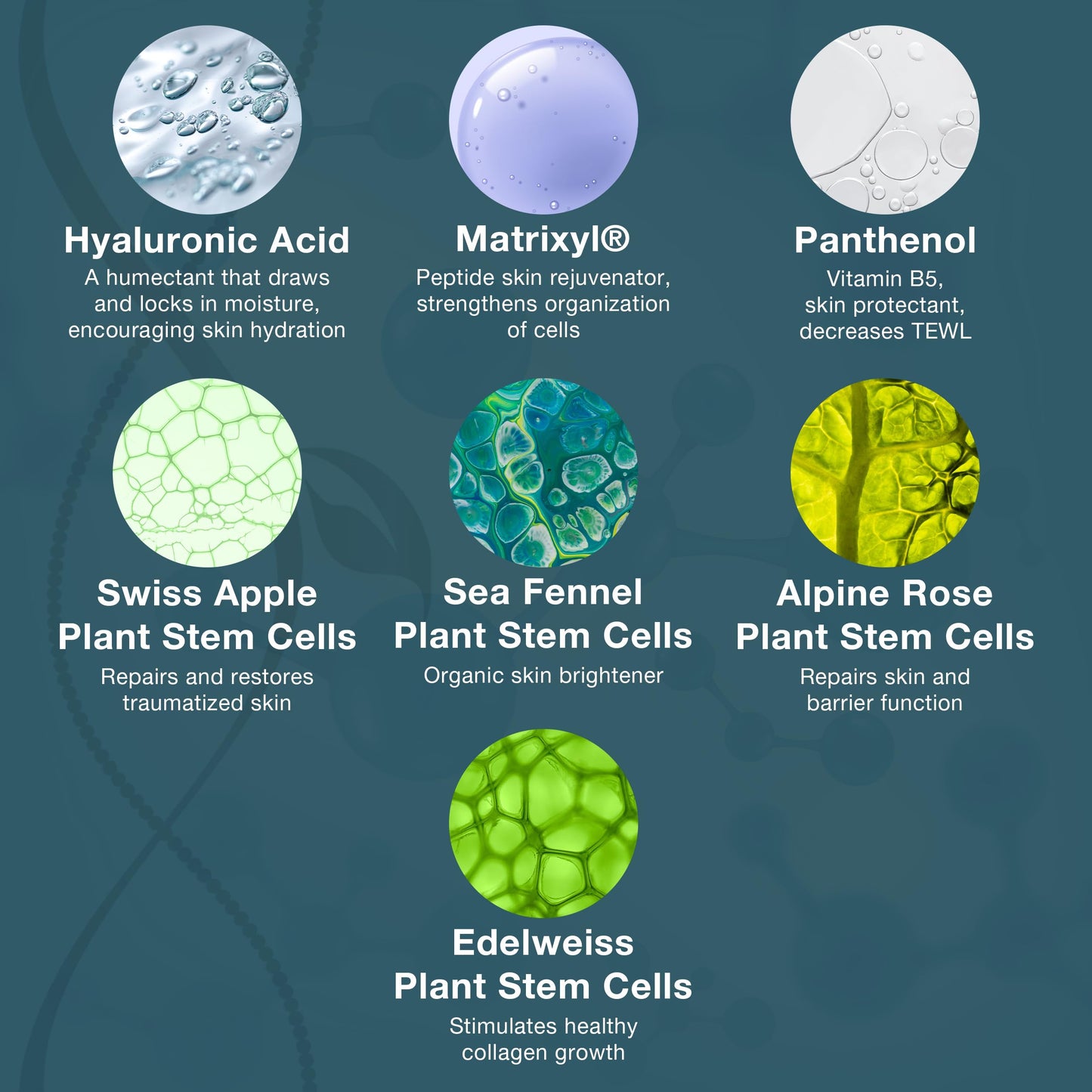 Lira Clinical BIO Hydra Infusion - Hydrating Face Serum with Hyaluronic Acid, Plant Stem Cells, and Minerals - Lightweight Facial Serum for Smooth