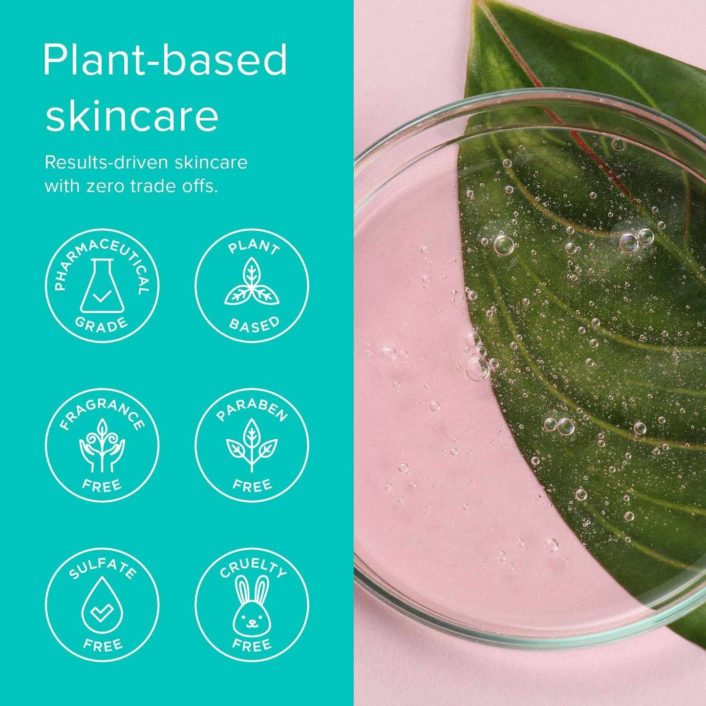 ClarityRx Cleanse Daily Face Wash, 6 Fl Oz, Vitamin-Infused Natural, Plant-Based Moisturizing Facial Cleanser with Vitamins & Antioxidants, Deep