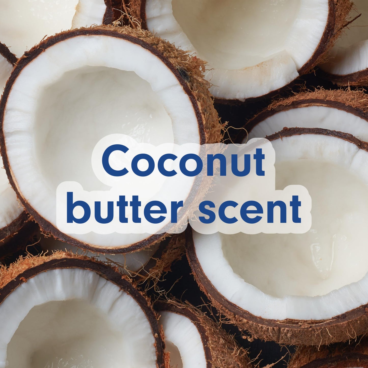 Softsoap Body Wash, Coconut Butter Scrub , Exfoliating Body Wash, 20 Ounce, 4 Pack Beauty and Personal Care Softsoap