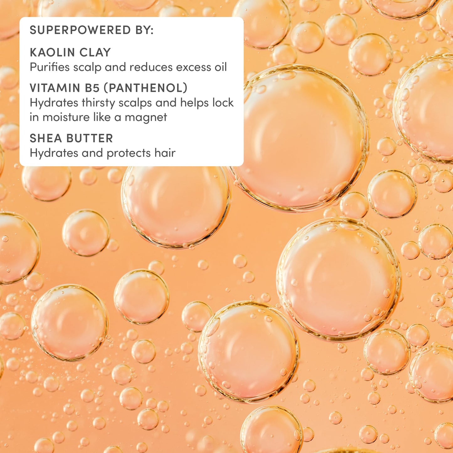 Evereden Kids After-Swim & Sports Shampoo, Detoxifies Scalp from Chlorine Beauty and Personal Care Evereden