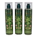 Bath & Body Works Fragrance Mist 3-Pack 8oz Each (Watermelon Mojito)