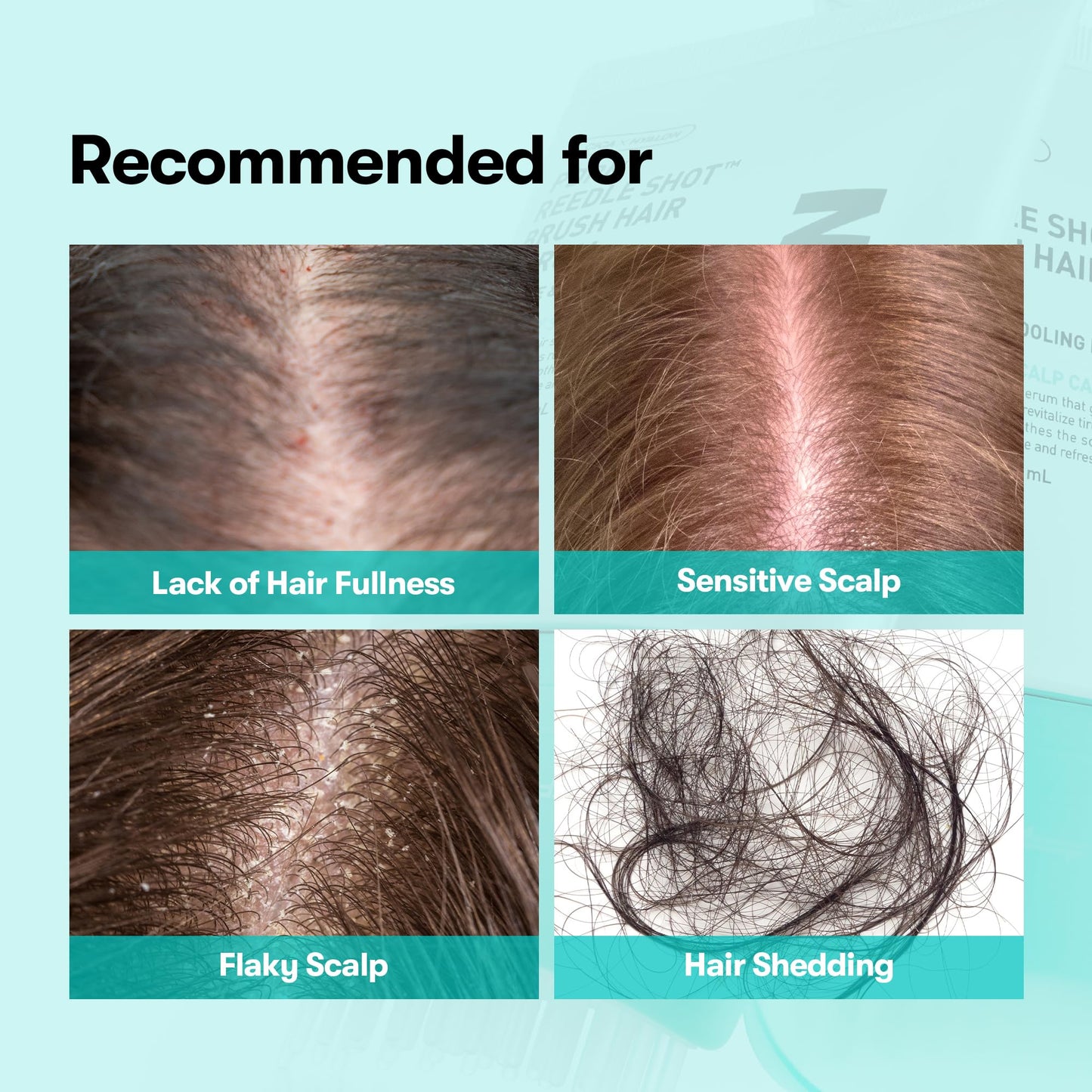 VT COSMETICS PDRN Reedle Shot Brush Hair Serum, Cooling & Refreshing Scalp Care with Vegan PDRN, Caffeine & Spicule Complex, Lightweight & Non-Greasy Beauty and Personal Care VT COSMETICS