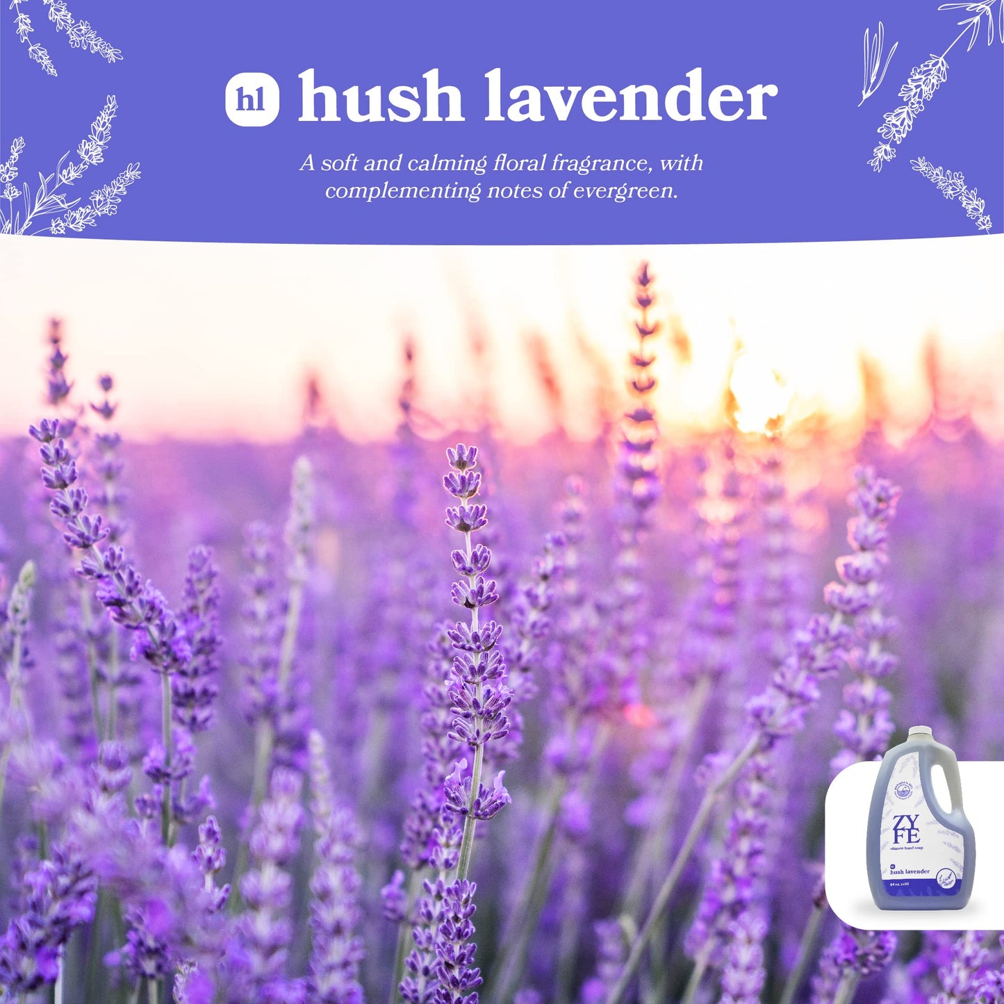Vitamin Hand Soap - Liquid Hand Soap - Natural Plant Derived Moisturizing Handsoap with Essential Oil Fragrance Hush Lavendar - Soft Hand Wash
