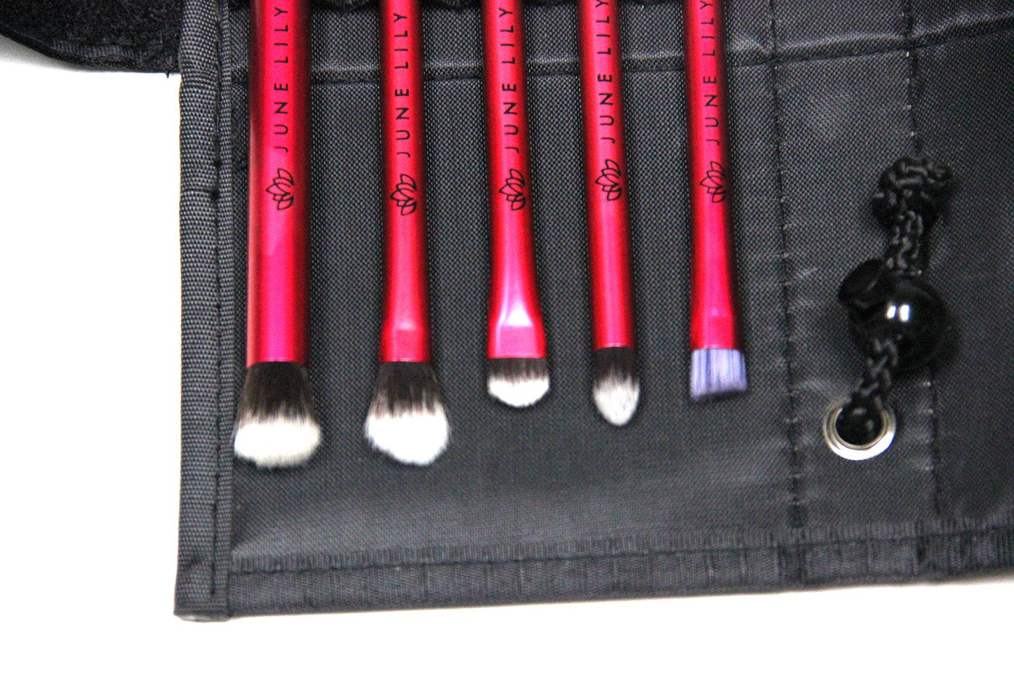 Professional Hypoallergenic Cosmetic Makeup Eye Shadow Brush Kit with Carrying Case (5-Piece Set)