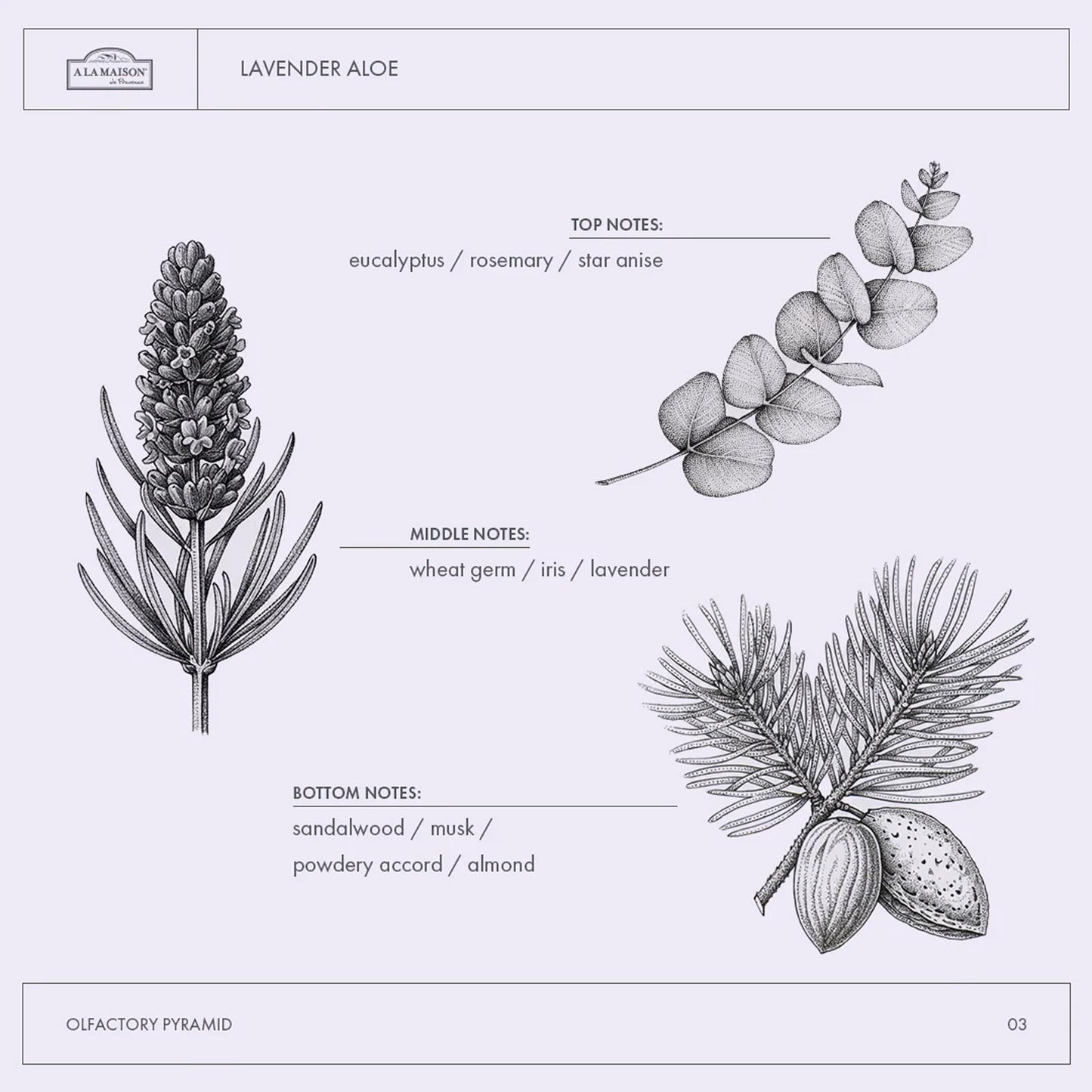 A LA MAISON Lavender Aloe French Liquid Hand Soap - Natural Hand Wash Made with Essential Oils - Biodegradable, Plant-Based, Vegan, Cruelty-Free Beauty & Personal Care A LA MAISON
