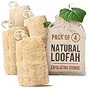 CraftsOfEgypt Natural Loofah Sponge - Egyptian Luffa Body Scrubber Pack of 4 for Men & Women, Natural Bath & Shower Loofah Exfoliator, All Natural