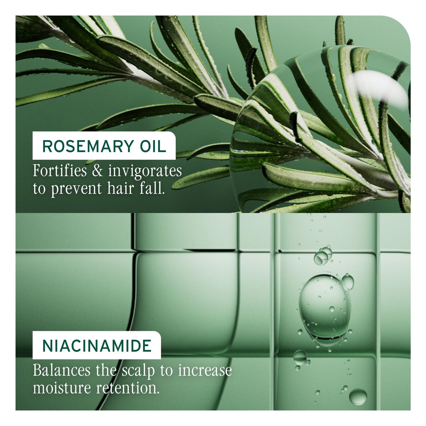 Biolage Full Rescue Shampoo - Fortifies & Strengthens for Stronger Hair, Longer Lengths in 4 weeks*, Instantly Fuller-Looking Hair, Rosemary Oil Beauty and Personal Care Biolage