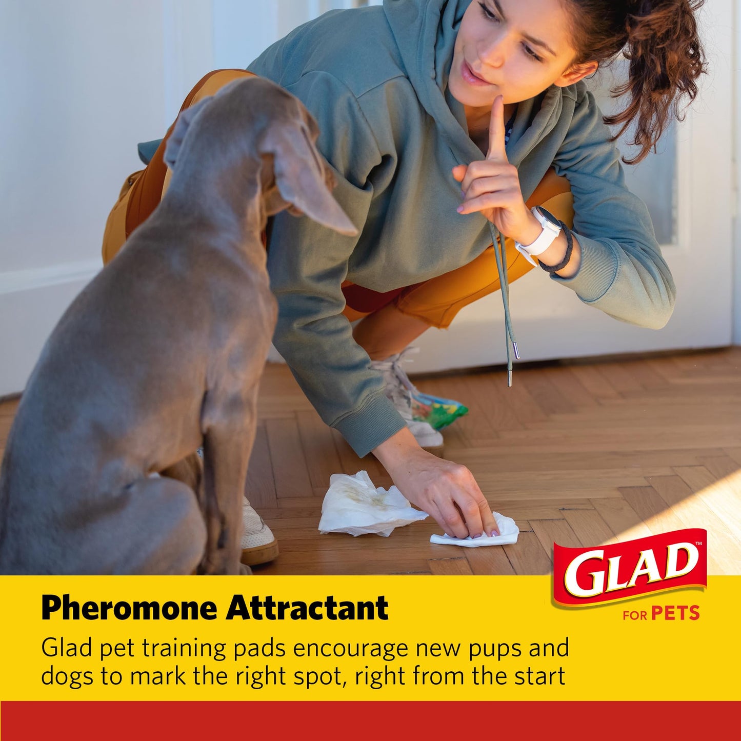 Glad for Pets Extra Large Charcoal Dog Training Pads – Jumbo Absorbent Disposable Pee Pads for Dogs, Cats & Puppies, Neutralize Urine Instantly, 30 Count