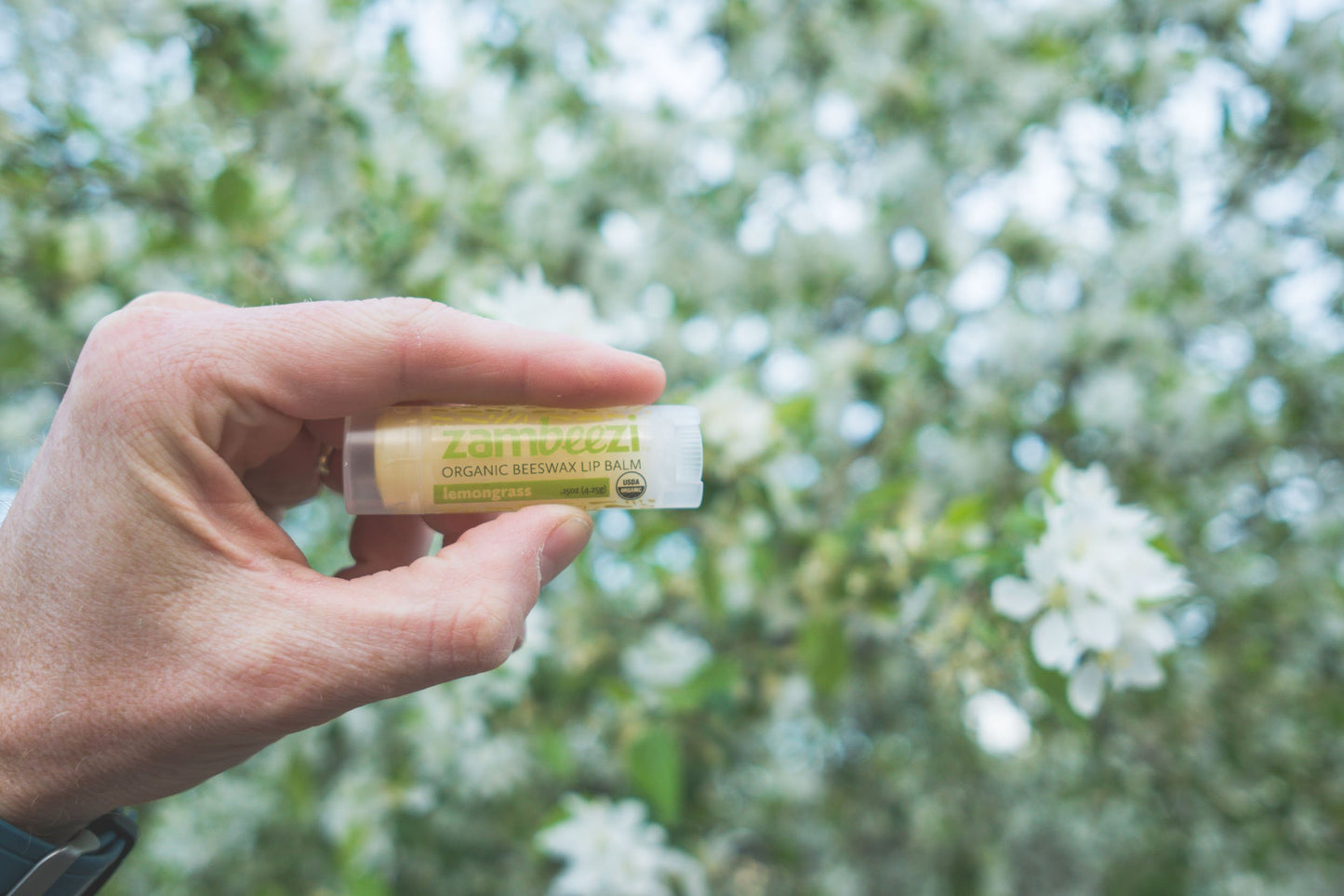 Case of Beeswax Lip Balm by ZAMBEEZI - Lemongrass 24-Tube Carton - Crafted with USDA Organic, Fair Trade, Lip Refreshing Ingredients from Zambia Beauty and Personal Care Case
