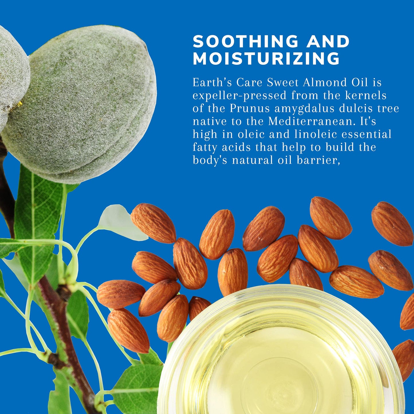 Earth’s Care Sweet Almond Oil - Expeller Pressed Almond Oil for Skin and Hair 8 FL. OZ. (3 Bottles)