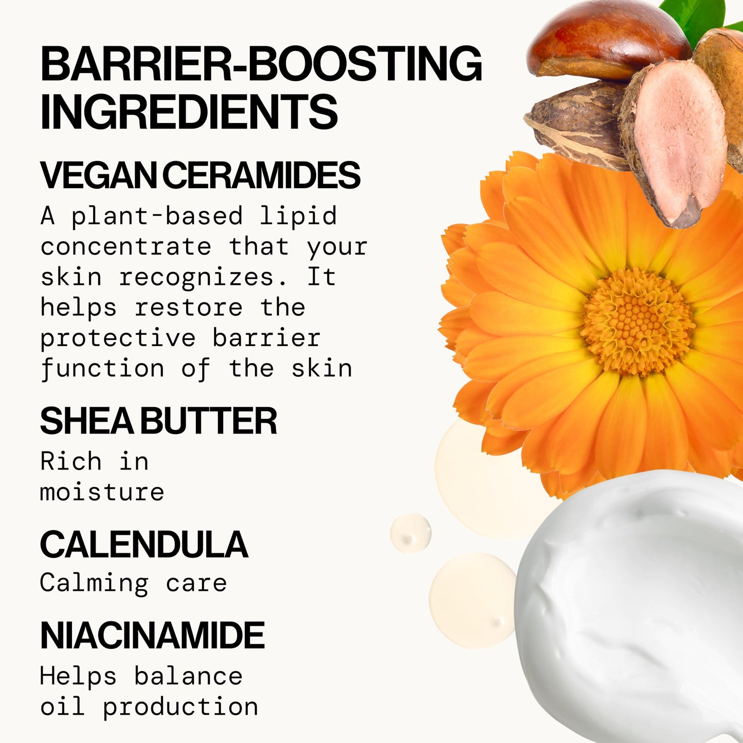 Pacifica Face Cream - Vegan Ceramide Barrier Cream w/Niacinamide & Shea Butter - Hydrating Daily Face Moisturizer Fragrance Free for Sensitive Skin