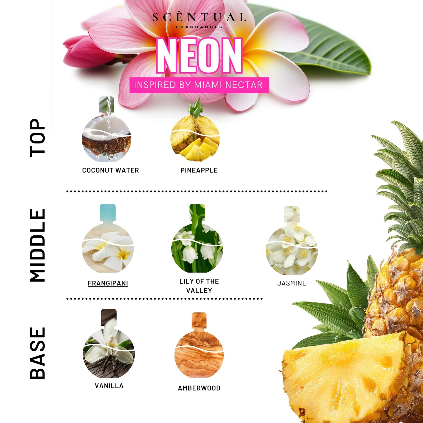 Scentual Fragrances, Neon Ultra-Concentrated Hair & Body Perfume Mist, Long Lasting Women's Fragrance, Gourmand Perfumes for Women, Vegan and Cruelty