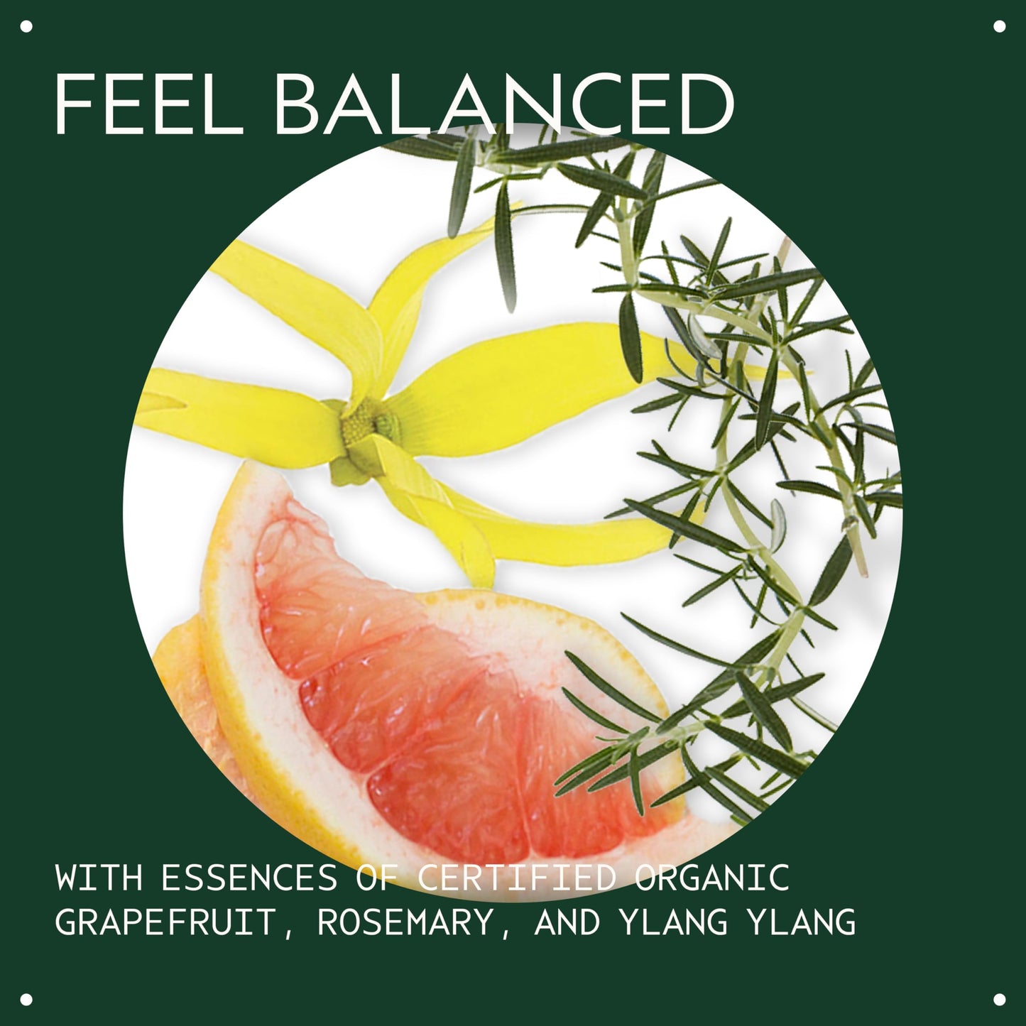 Aveda Chakra 5 Balancing Pure-Fume Mist: Throat | Body & Room Spray | Balances Throat Chakra | With Certified Organic Grapefruit, Rosemary, Ylang