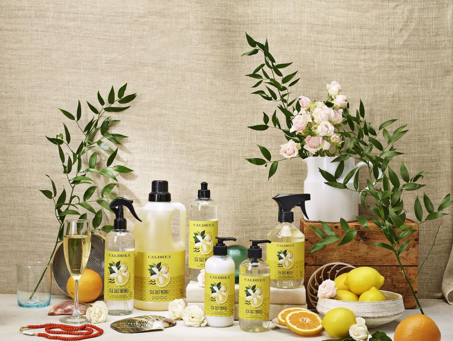 Caldrea Dish Soap, Biodegradable Dishwashing Liquid made with Soap Bark and Aloe Vera, Sea Salt Neroli, 16 oz