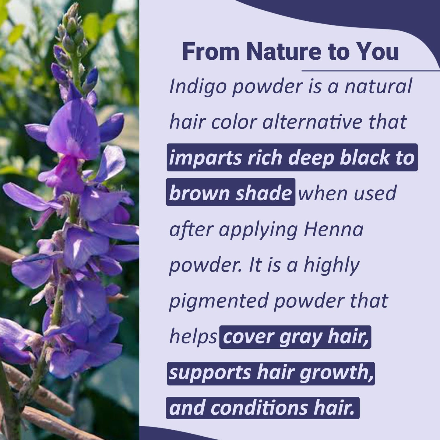 Natural Indigo Powder - 114g (4 oz) -Indigofera Tinctoria, Rajasthani Indigo Powder for hair dye, Natural hair color by mi nature