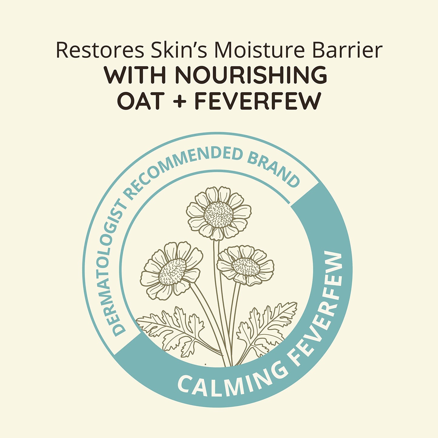 Aveeno Calm + Restore Redness Relief Foaming Cleanser, Daily Facial Cleanser With Calming Feverfew to Help Reduce the Appearance of Redness Beauty and Personal Care Aveeno