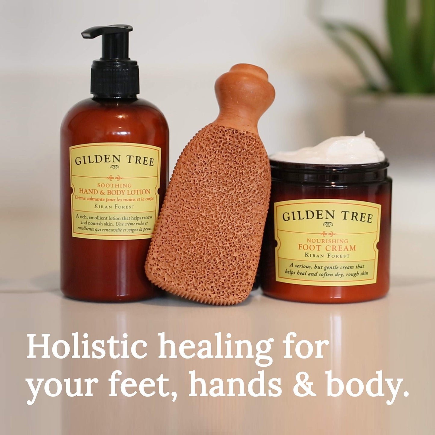 GILDEN TREE Nourishing Foot Cream with Organic Aloe Vera and Shea Butter, 8 ounce jar, Heals Dry Skin, Cracked Heels, Calluses and Softens Rough