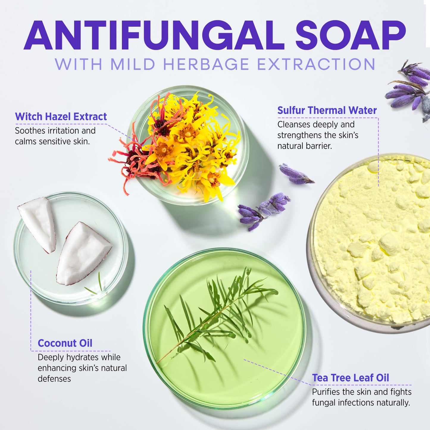 Hermon Antifungal Soap with Tea Tree Oil: Antifungal Bar Soothing Care & Relief of Itchy for Ringworm, Jock Itch, & Athletes Foot - Body & Face Wash Beauty & Personal Care Hermon