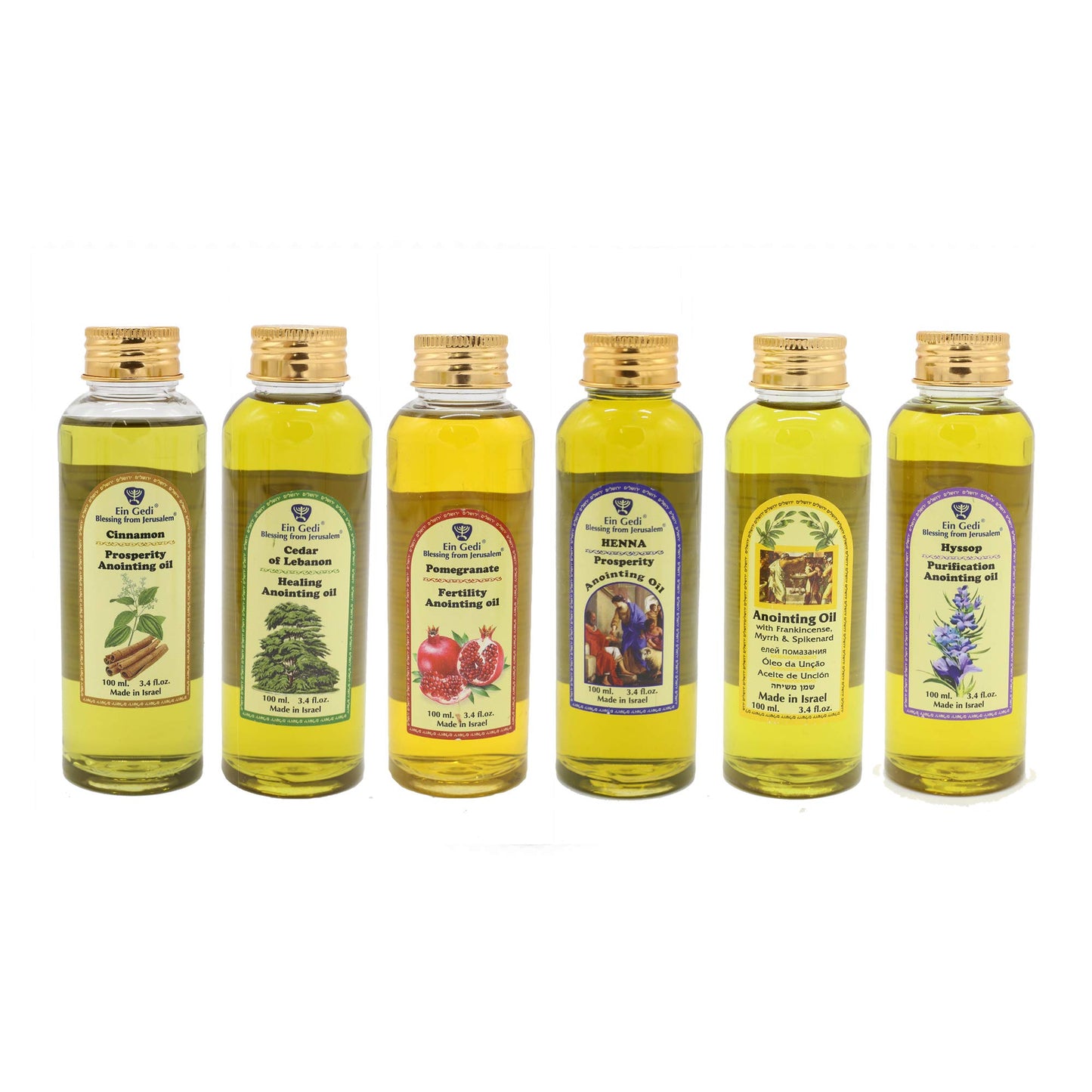 Ein Gedi Anointing Oil 100 ml - 3.4fl oz Blessing From Jerusalem Made In Holyland For Prayer And Blessings Scented With Oils Of The Bible