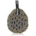 Clean Logic Charcoal Infused Sea Foam Body Sponge (6 Pack)