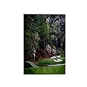 3D Rose Augusta's Amen Corner Golf Course-Golfers On Bridge Towel, 15" x 22", White