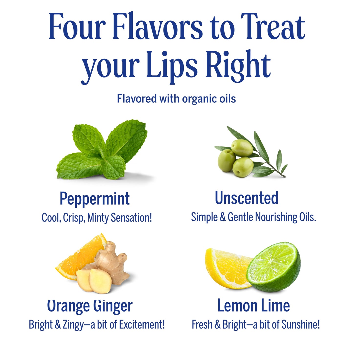 Dr. Bronner's - Organic Lip Balm Variety Peppermint, Orange Ginger, Naked, Lemon Lime) - Made with Organic Beeswax and Avocado Oil, For Dry Lips