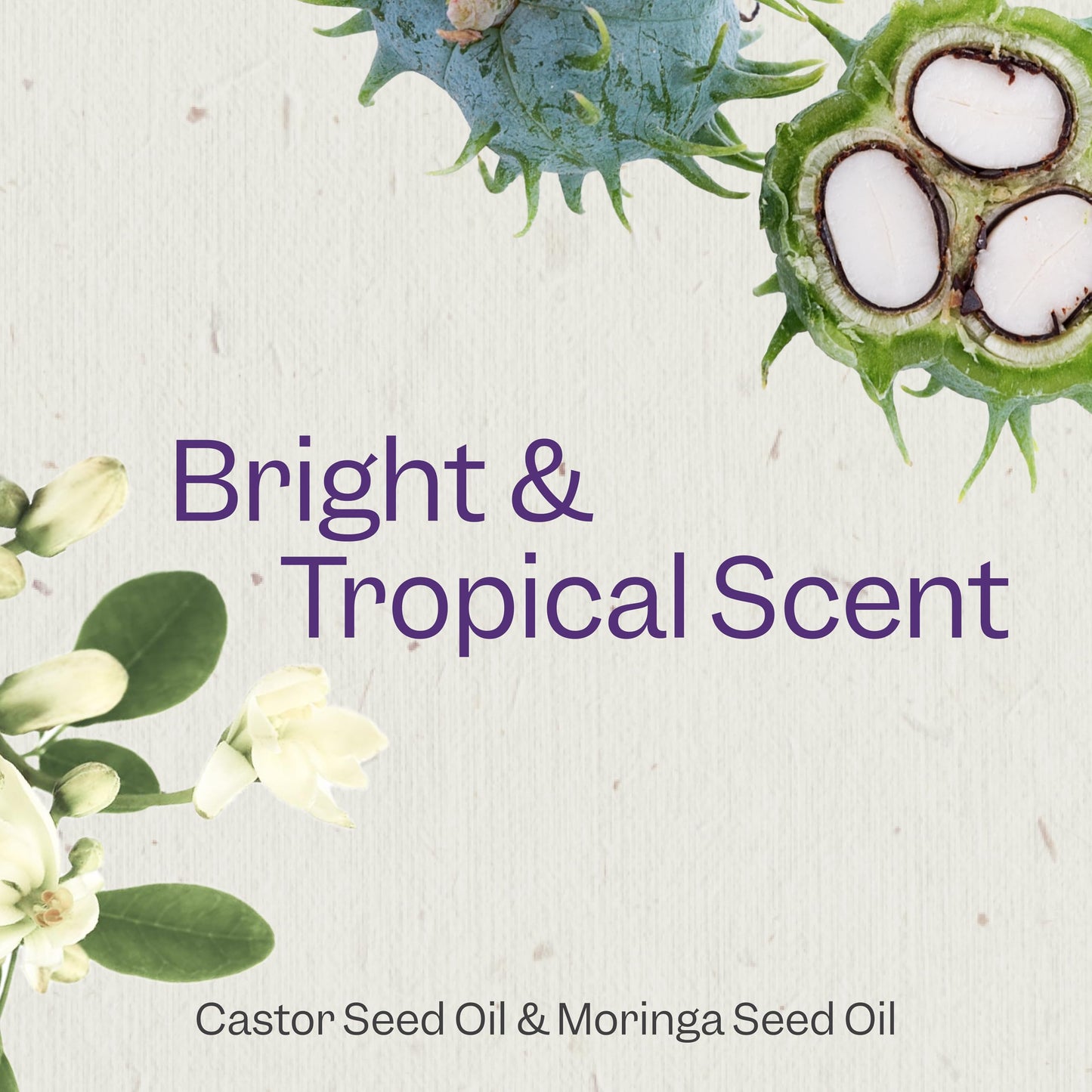 Renpure Castor Oil & Moringa Shampoo and Conditioner Set, Plant-Based*, Curl Enhancing, Moisturized, Manageable & Frizz-Free Curls -Castor & Moringa