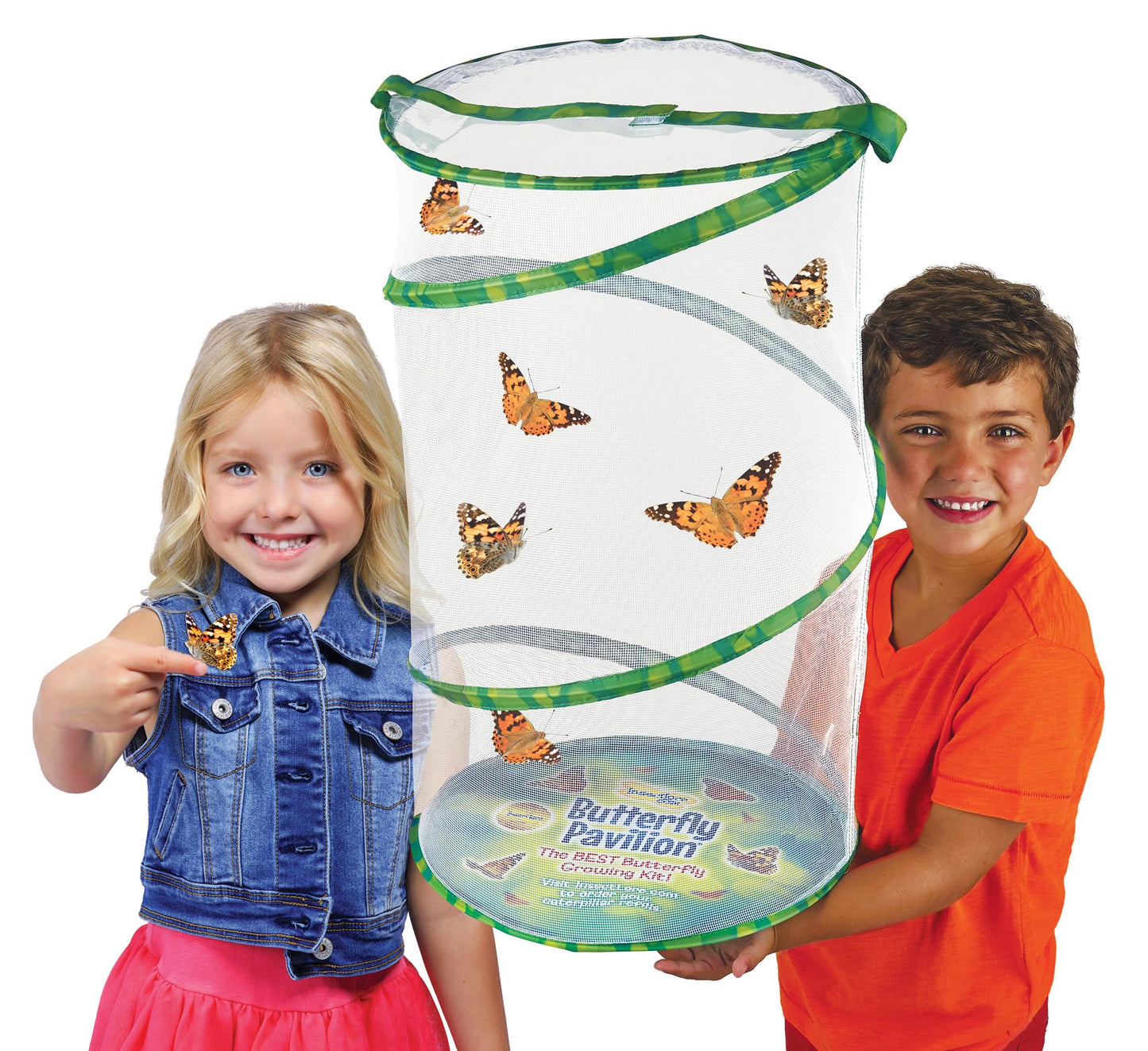 Insect Lore Giant Butterfly Garden – 18" Habitat with Life Cycle Figurines & Voucher to Redeem 5 Baby Caterpillars, Raise Painted Lady Butterflies