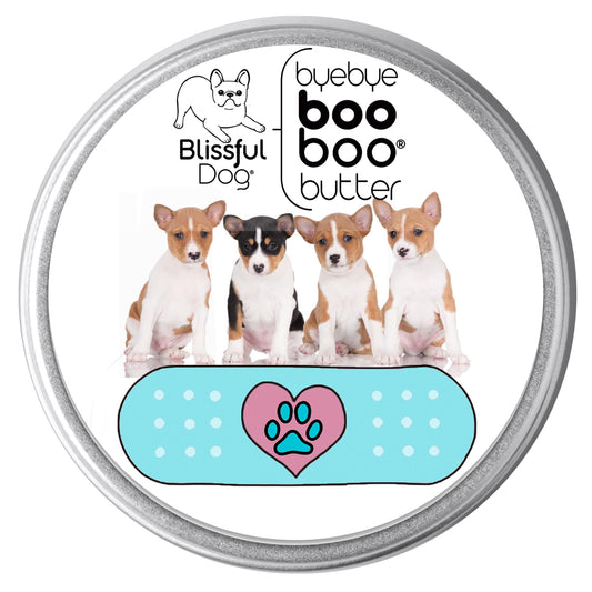 The Blissful Dog Basenji Boo Boo Butter, 1-Ounce Beauty and Personal Care The Blissful Dog