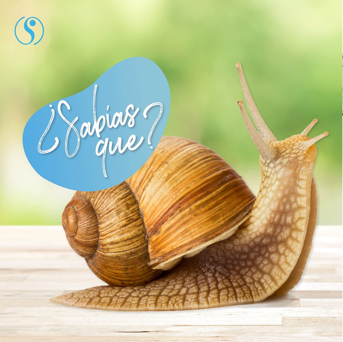 Sheló NABEL Baba de Caracol - Snail Cream Face Moisturizer